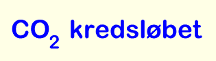 CO2-kredsl&#248;bet - forklaring