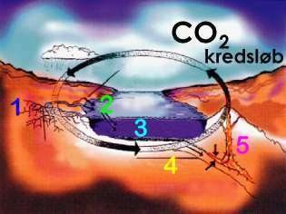 CO2-kredsl&#248;bet figur