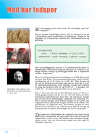 Side 10: Mad har fodspor (1)