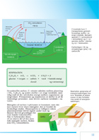 Side 11: Mad har fodspor (2)