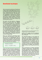 Side 11: " Kapitel 2: Hydrogen kan produceres på mange måder" (4); Bioethanol og biogas