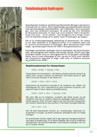Side 13: " Kapitel 2: Hydrogen kan produceres på mange måder" (6);  Fotobiologisk hydrogen