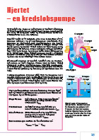 Side 15: Hjertet - en kredsløbspumpe (1)