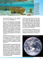 Side 21: Livets udvikling på Jorden (2)