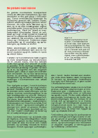 Side 5: De globale havstrømme