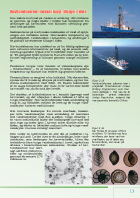 Side 13:  Havbundskerner rækker langt tilbage i tiden