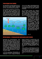 Side 25: Forsuringen truer skaldyr