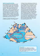 Side 12: Fortidens planter og klimaet
