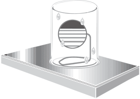 sæbehinde, sort øverst